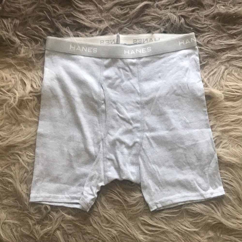 Men’s Hanes Boxer Brief - L